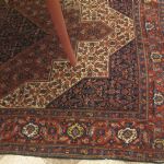 614 8304 ORIENTAL RUG